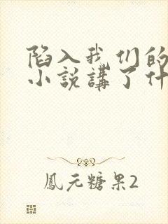 陷入我们的热恋小说讲了什么内容