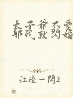 太子爷不爱我?那我就闪婚了