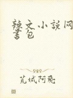 辣文小说网第二书包
