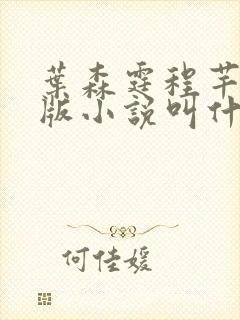 叶森霆程芊蕊正版小说叫什么名字