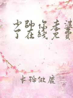 少帅你老婆又跑了在线免费阅读