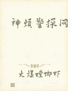 神烦警探网盘