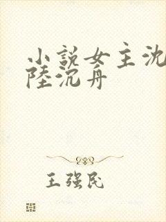小说女主沈意欢陆沉舟