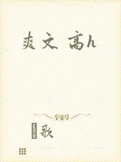 爽文 高h