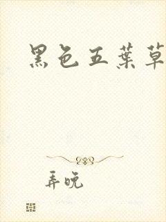 黑色五叶草女主