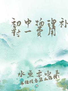 初中物理补课一对一费用