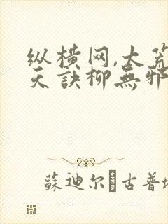 纵横网,太荒吞天诀柳无邪