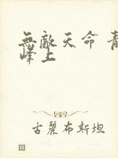 无敌天命 青鸾峰上