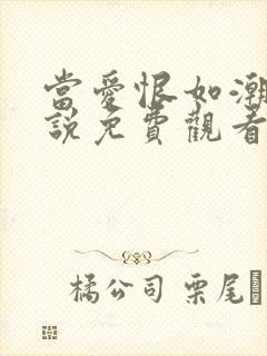 当爱恨如潮生小说免费观看