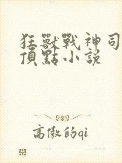 狂兽战神司空靖顶点小说