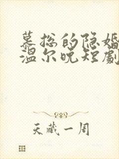 慕总的隐婚罪妻温尔晚短剧