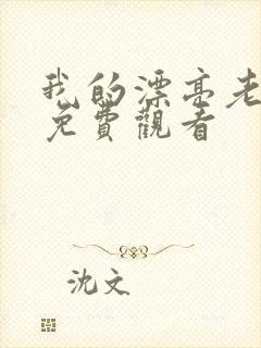 我的漂亮老板娘免费观看