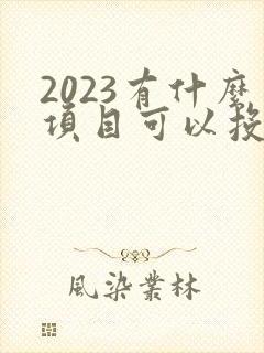 2023有什么项目可以投资