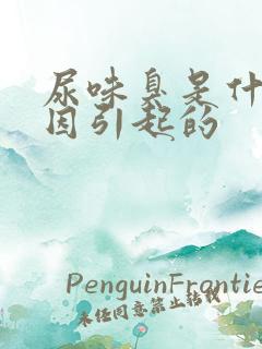 尿味臭是什么原因引起的