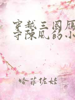 穿越三国雁门太守陈风的小说