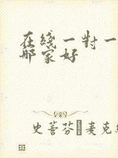 在线一对一外教哪家好