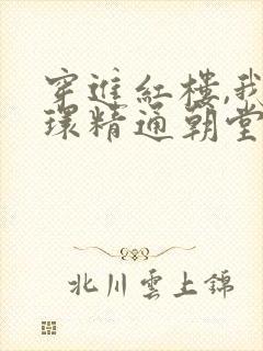 穿进红楼,我贾环精通朝堂争斗小说