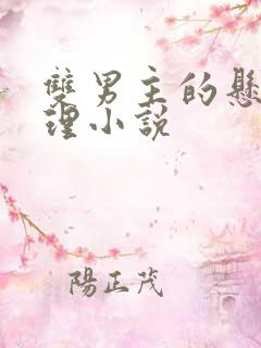 双男主的悬疑推理小说