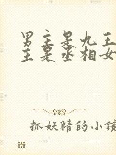 男主是九王爷女主是丞相女儿
