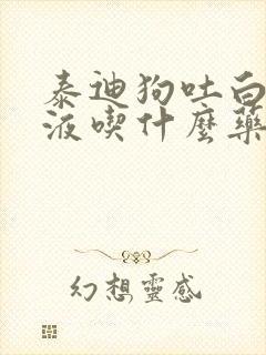 泰迪狗吐白色粘液吃什么药