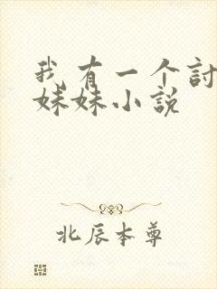 我有一个讨厌的妹妹小说
