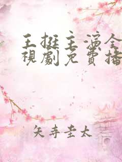 王挺主演全部电视剧免费播放