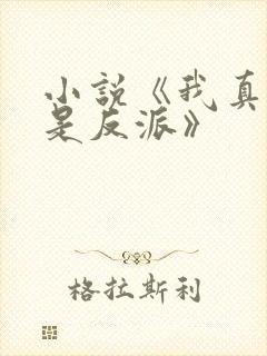 小说《我真的不是反派》