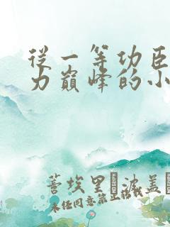 从一等功臣到权力巅峰的小说最新