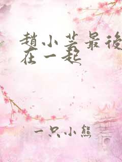 赵小芸最后和谁在一起