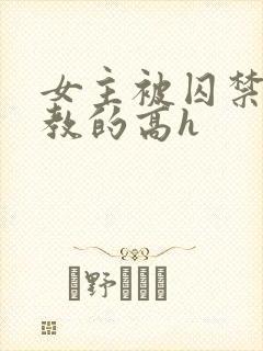 女主被囚禁后调教的高h