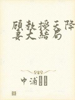 顾教授天降小萌妻大结局