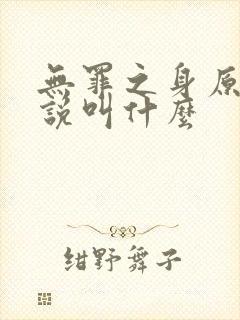 无罪之身原著小说叫什么