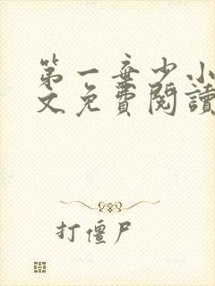 第一弃少小说全文免费阅读