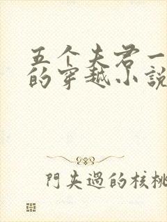 五个夫君一个妻的穿越小说