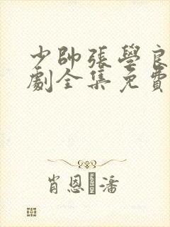 少帅张学良电视剧全集免费观看