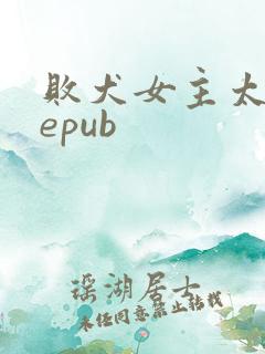 败犬女主太多了epub