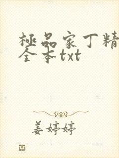 极品家丁精校版全本txt