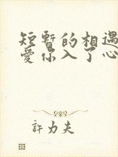 短暂的相遇,却爱你入了心