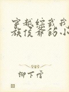 穿越综武我是贵族侯爷的小说