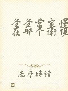 爸爸当家慢享季在哪个卫视播出