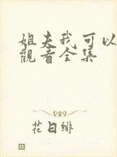 姐夫我可以免费观看全集