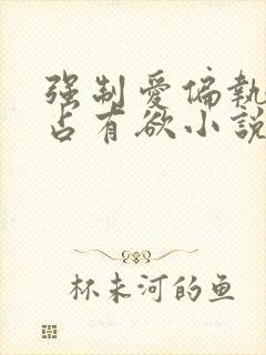 强制爱偏执病态占有欲小说