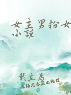 女主男扮女装的小说