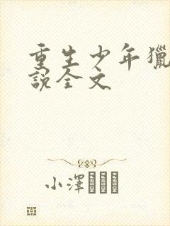 重生少年猎美小说全文