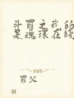 斗罗之我的武魂是魂环在线阅读