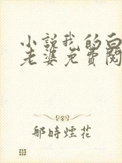 小说我的白富美老婆免费阅读原文