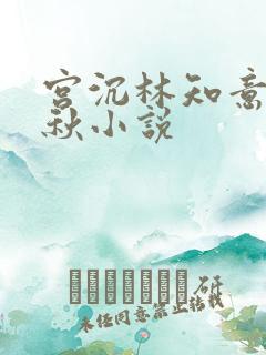 宫沉林知意宋婉秋小说