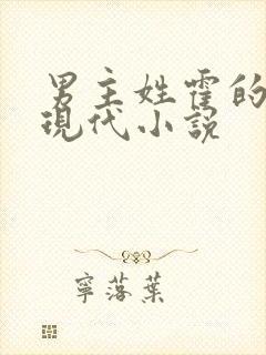 男主姓霍的总裁现代小说