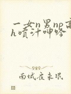 一女n男np高h喷汁呻吟