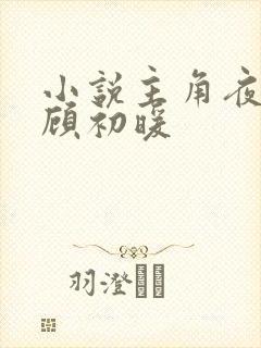 小说主角夜景寒顾初暖